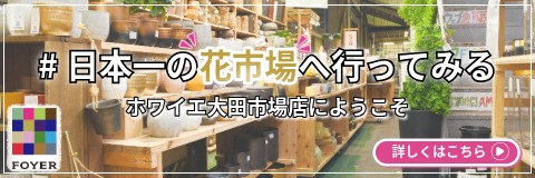 日本一の花市場へいってみる