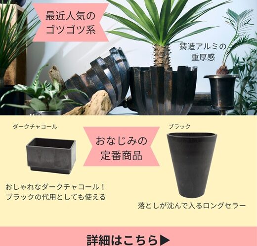ついに入荷】前回入荷後すぐに完売したあの「アルミニウム花器」＆定番